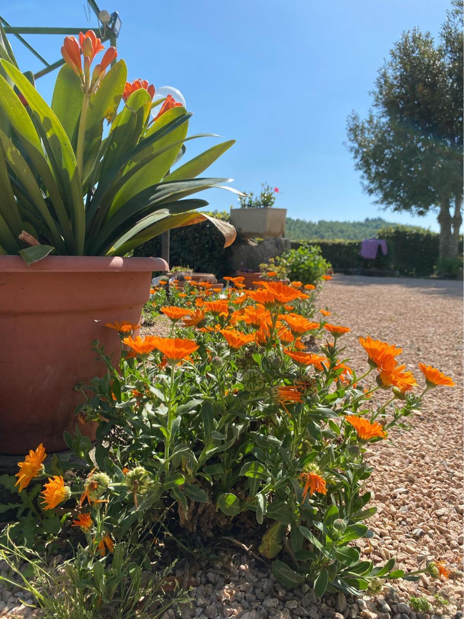 Casa Vacanze Podere San Giusto Volterra Exterior foto