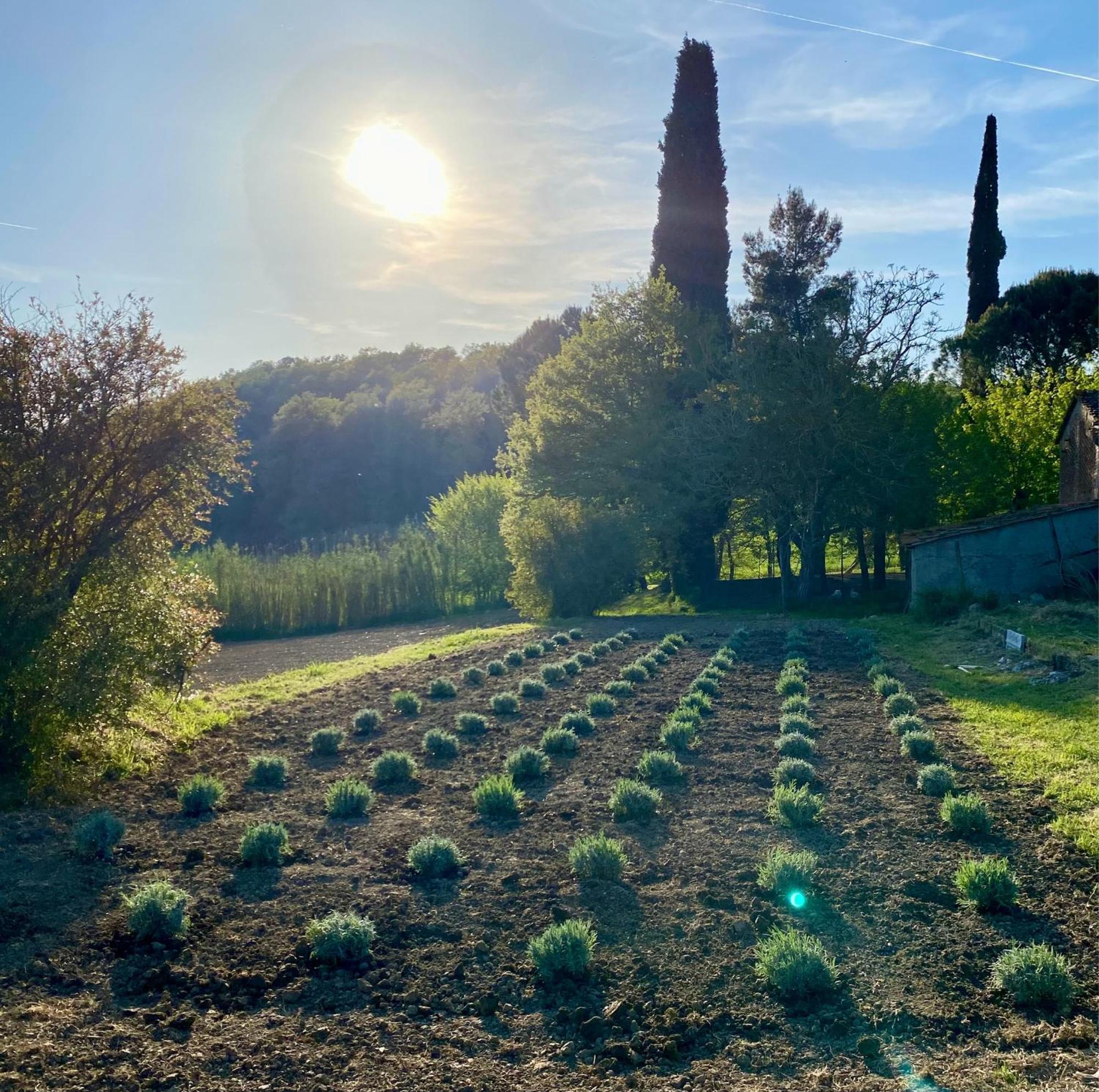 Casa Vacanze Podere San Giusto Volterra Exterior foto