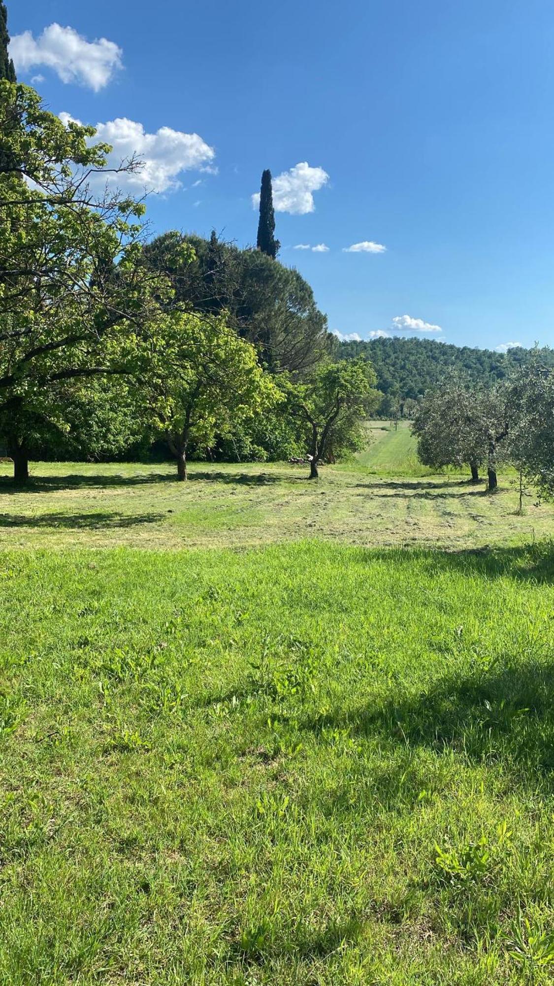 Casa Vacanze Podere San Giusto Volterra Exterior foto