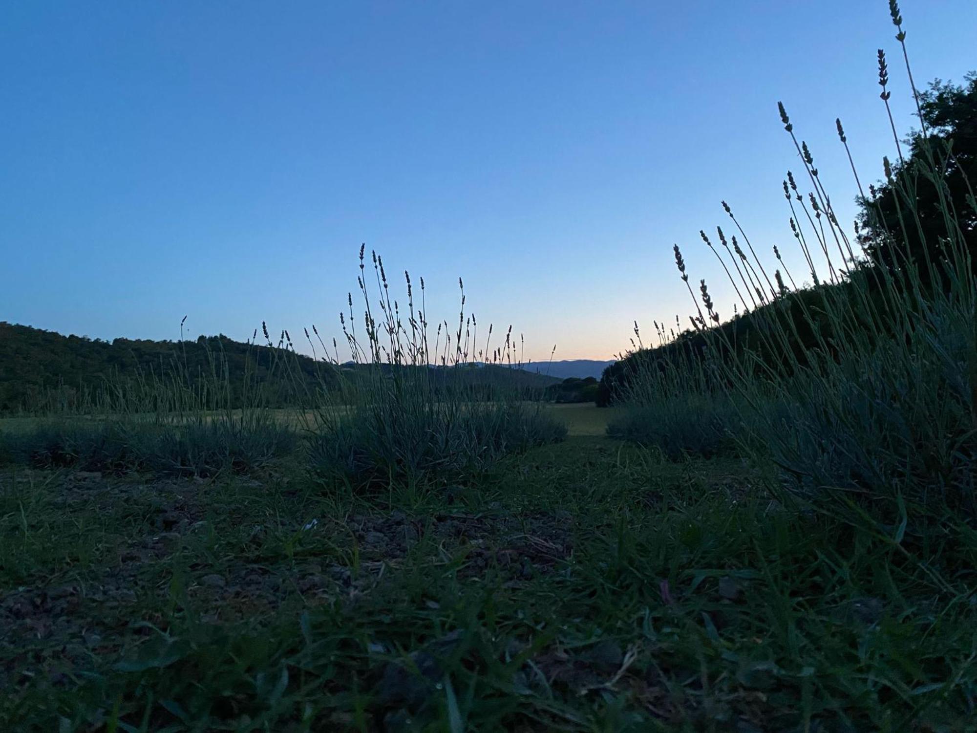 Casa Vacanze Podere San Giusto Volterra Exterior foto